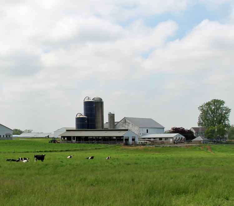 Meadow View K Farm Guesthouse, Lancaster PA