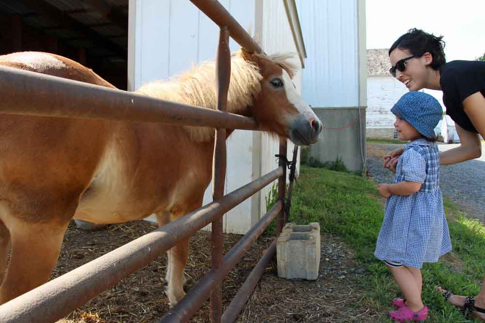 Lancaster PA interactive farmstay for kids