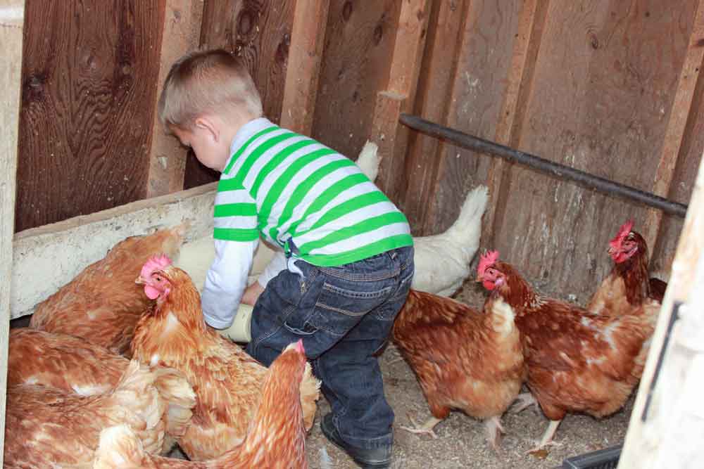 Lancaster County fun farm stay for kids