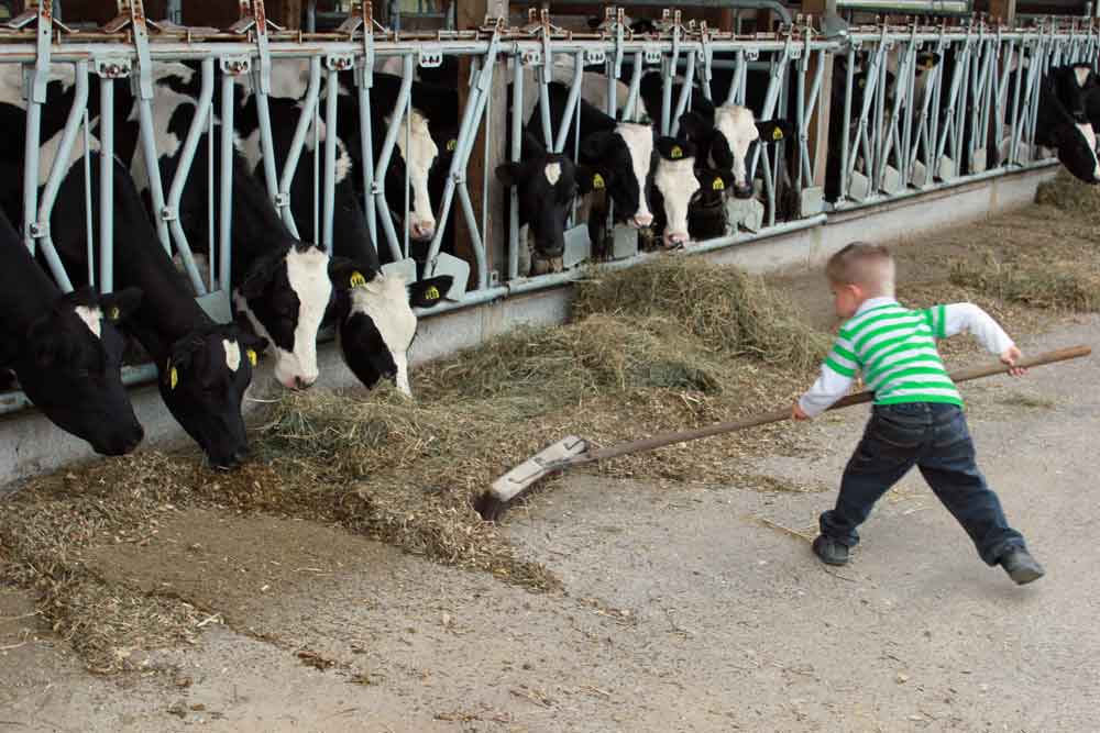 Lancaster County fun farm stay for kids