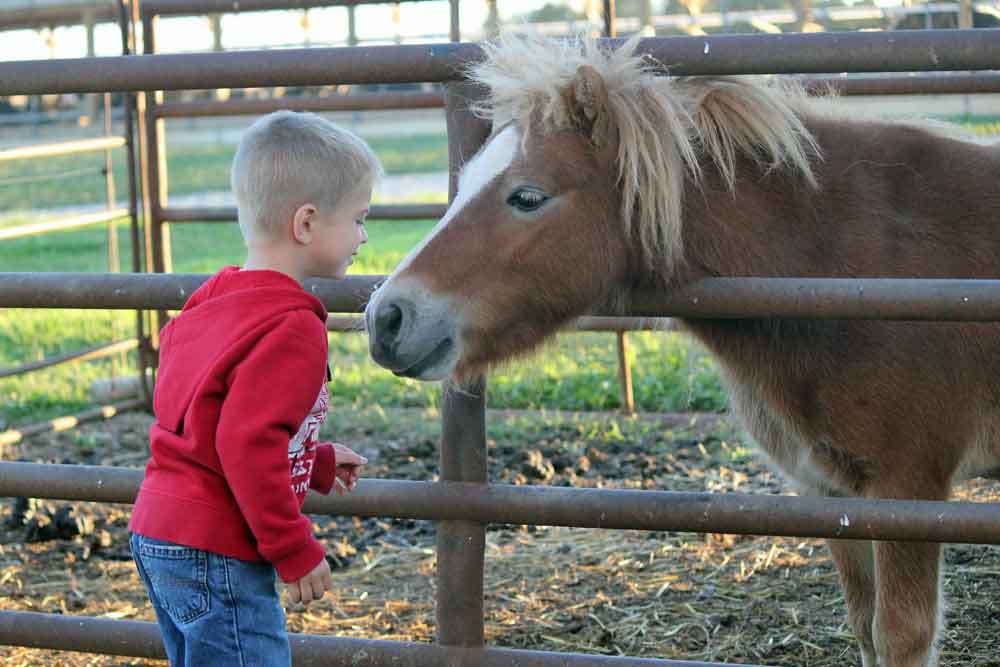 Lancaster County fun farm stay for kids