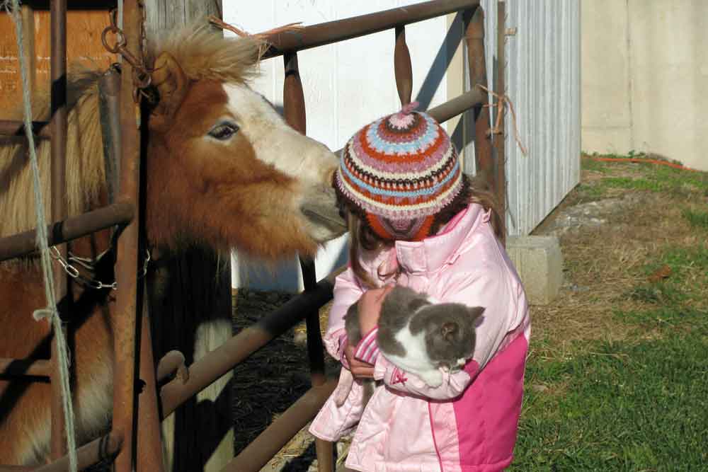 Lancaster County fun farm stay for kids