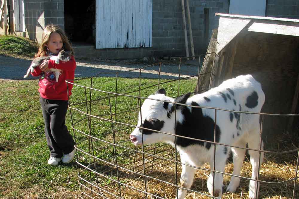 Lancaster County fun farm stay for kids