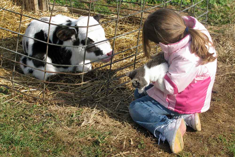 Lancaster County fun farm stay for kids