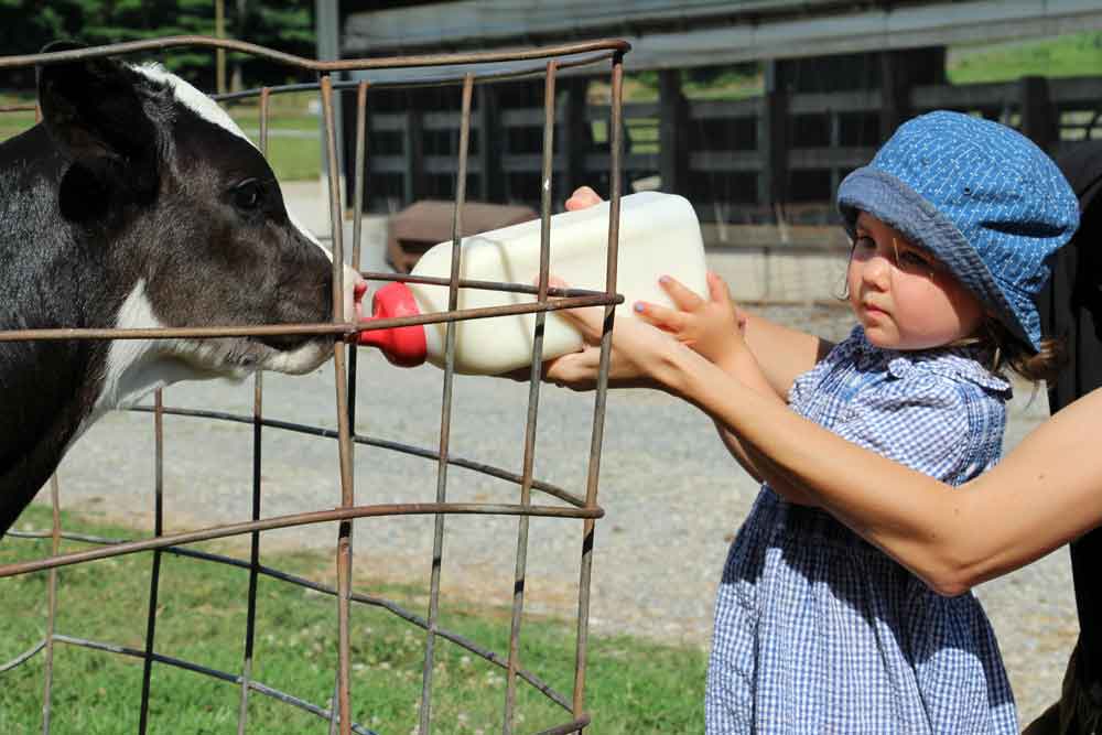 Lancaster PA interactive farmstay for kid