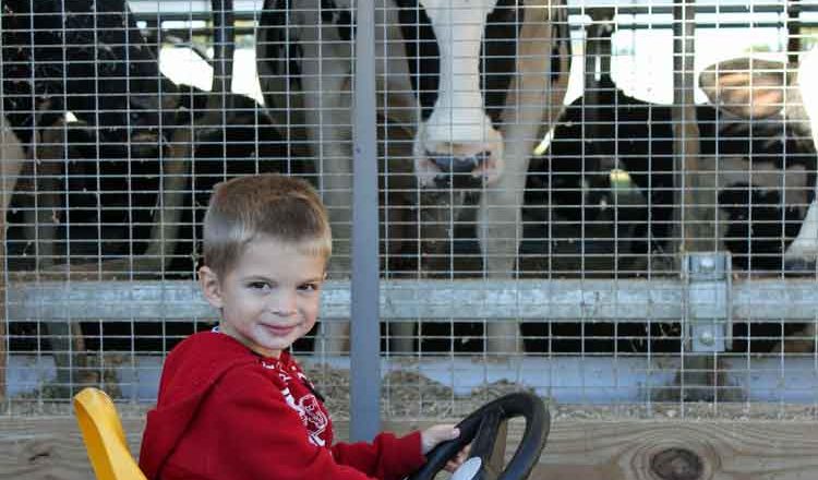 fun on the farm for kids