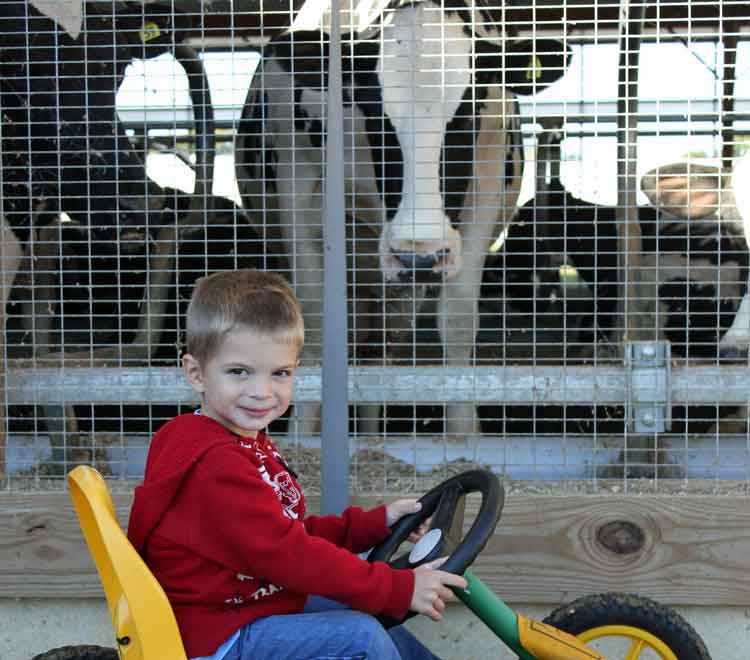 fun on the farm for kids